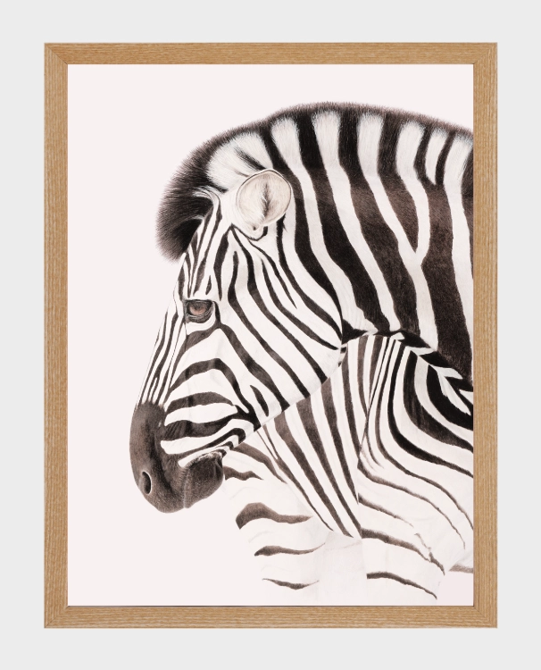 klimalia plakat zebra beata łośniewska 30x40.webp