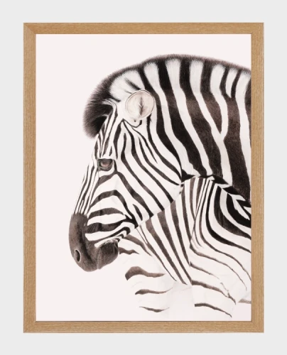 klimalia plakat zebra beata łośniewska 30x40.webp