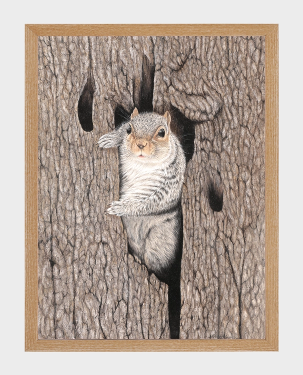 klimalia plakat wiewiórka beata łośniewska 30x40.webp