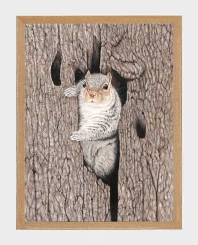 klimalia plakat wiewiórka beata łośniewska 30x40.webp
