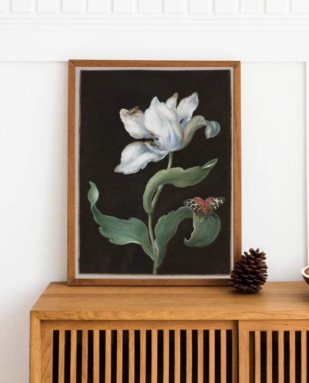 plakat-botaniczny-bialy-tulipan-barbara-dietzsch-30x40.webp
