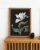 plakat-botaniczny-bialy-tulipan-barbara-dietzsch-30x40.webp