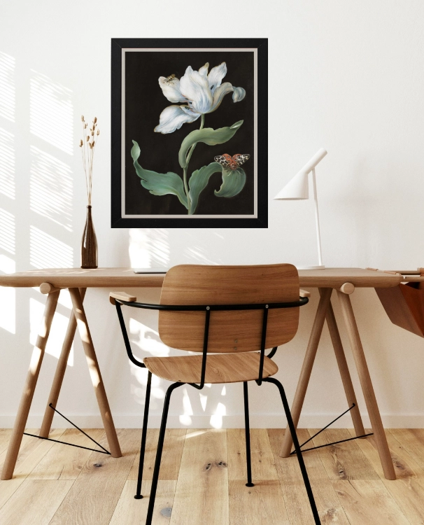 plakat-botaniczny-bialy-tulipan-barbara-dietzsch-40x50.webp