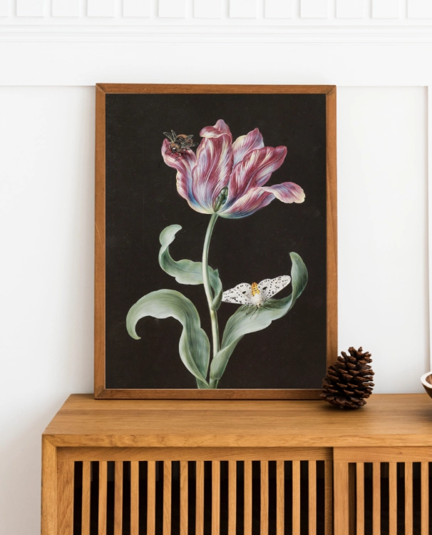 klimalia-plakat-botaniczny-tulipan-barbara-dietzscg-30x40.webp
