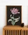 klimalia-plakat-botaniczny-tulipan-barbara-dietzscg-30x40.webp