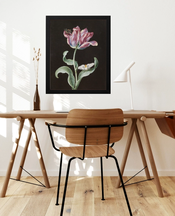 klimalia-plakat-botaniczny-tulipan-barbara-dietzscg-40x50.webp