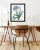 plakat-botaniczny-agapant-pierre-redoute-40x50.webp