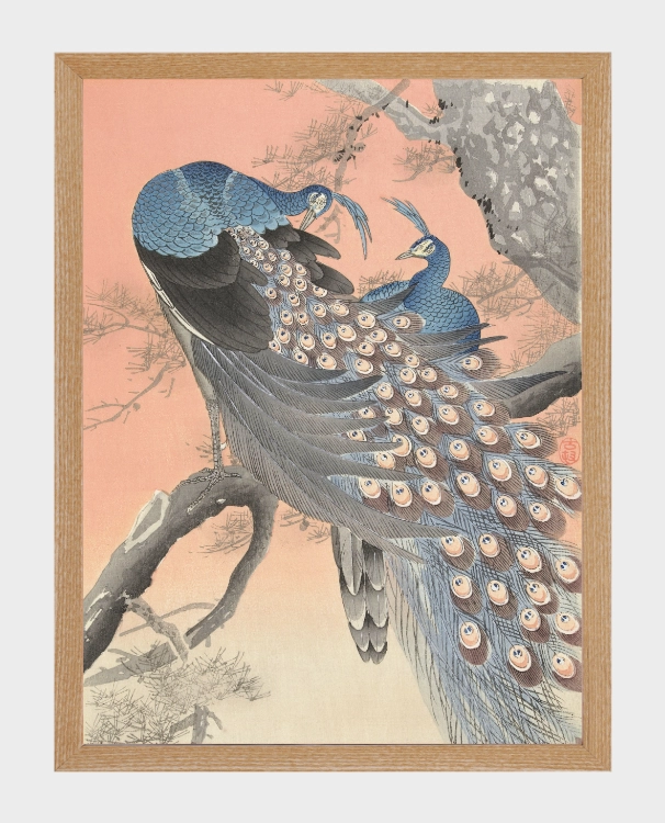 klimalia-plakat-japonski-dwa-pawie-ohara-koson.webp