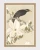 klimalia-plakat-japonski-ptak-na-kwitnacej-galezi-ohara-koson.webp