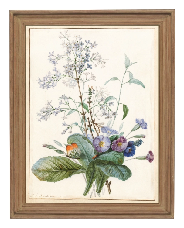 klimalia plakat botaniczny vintage a3 bukiet kwiatow.webp