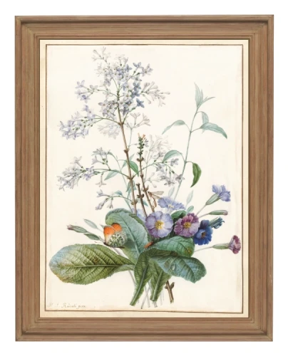 klimalia plakat botaniczny vintage a3 bukiet kwiatow.webp