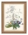 klimalia plakat botaniczny vintage a3 bukiet kwiatow.webp