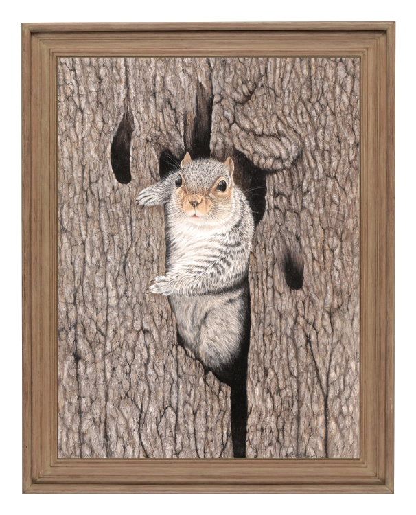 klimalia plakat wiewiórka beata łośniewska 30x40 rama drewno.webp