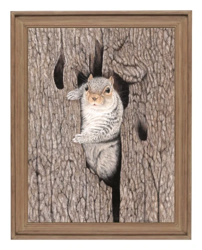 klimalia plakat wiewiórka beata łośniewska 30x40 rama drewno.webp