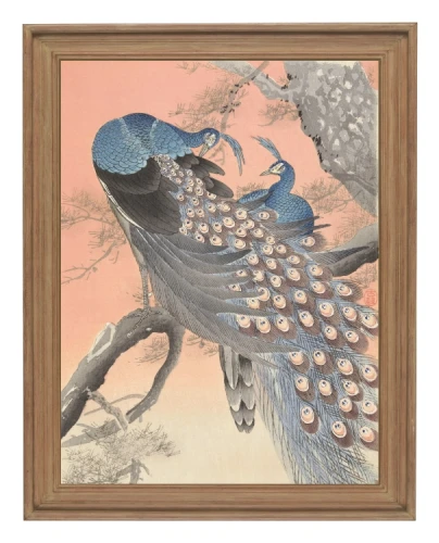 klimalia-plakat-japonski-dwa-pawie-ohara-koson.webp