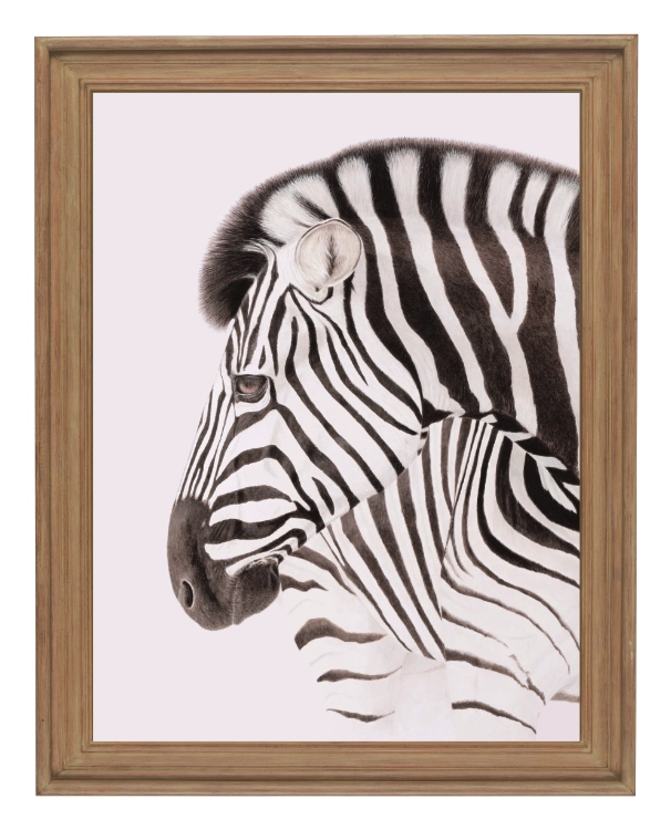 klimalia plakat zebra beata łośniewska 30x40.webp