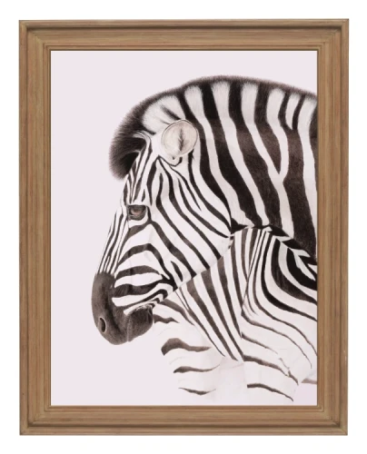 klimalia plakat zebra beata łośniewska 30x40.webp
